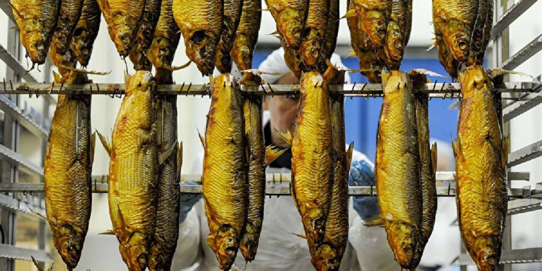 Vitamin yerine zehir yemeyin! Balıklarda büyük tehlike: Prof. Dr. Meltem Sarıoğlu uyardı 1